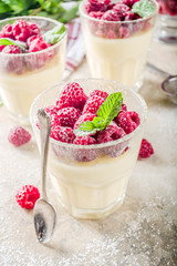 Panna cotta dessert with raspberry