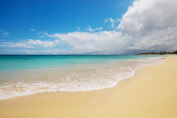 Hawaiian beach