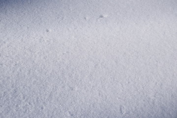 white background