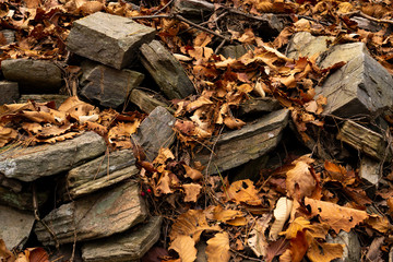 Rocky autumn