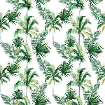 Watercolor seamless pattern with palm trees and tropical leaves. Summer decoration print for wrapping, wallpaper, fabric. © Anastasiia