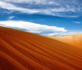 Fototapeta premium Sunset over the Sahara Desert
