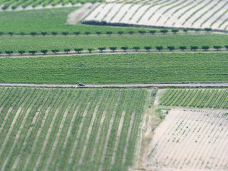View with filter effect model (tilt shift or fake model) of the fields near Fontanars dels aforins,...