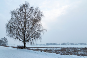 Winter landscape with a frozen birch tree in the foreground against the blue sky and a church in the distance