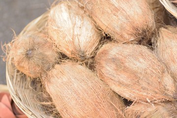 Macro texture of Coconuts in fruits market in India