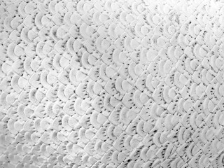 Black and white pattern background on the serpent's body.