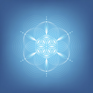 Vector modern sacred geometry mandala; Abstract shape based on ancient symbol "flower of life"; Molecule of clear water; Positive vibrations, yoga, meditation, relax.