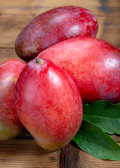 National fruit of India, Pakistan, and Philippines tropical organic ripe red mango ready to eat