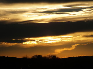 Vibrant sunset above trees