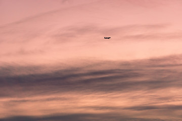 Naklejka na ściany i meble aircraft in the sunset