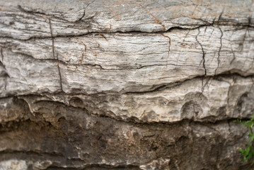 old stone texture