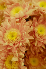 Beautiful flowers, with beautiful toning