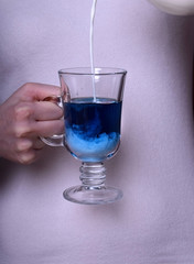Blue tea Anchan with milk in an Irish glass in female hand