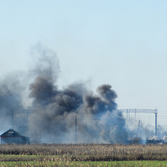 Fire on irrigation canals