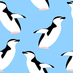 Obraz premium pattern with Penguin animals