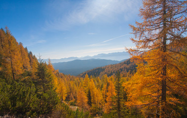 autumn alpine landscape