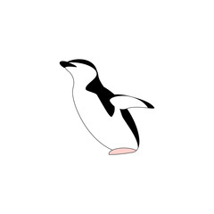 Penguin animal logo vector. Black, white and pink
