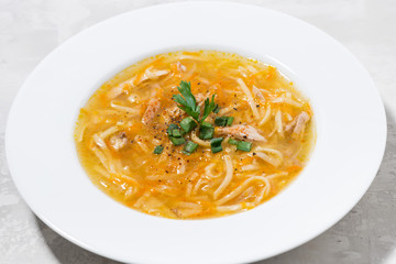 chicken soup with egg noodles in a plate, closeup