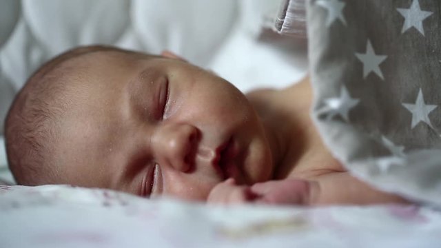 Newborn baby sleeps