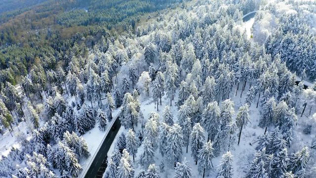 Aerial view, flight over snowy trees from above in winter, Taunus, Hesse, Germany