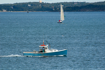 Fototapeta premium Employment