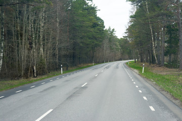 asphalt road passing through the forest