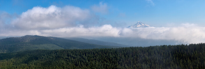 Aerial misty view of the summer panorama with Mt. Hood above the clouds in Oregon state in USA.