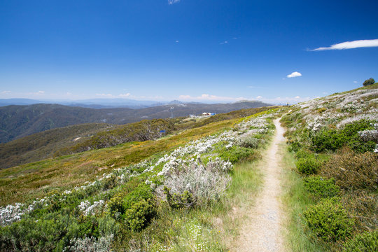 Mount Buller Walking and Biking Trails in Summer