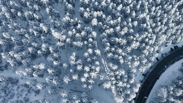 Aerial view, flight over snowy trees from above in winter, Taunus, Hesse, Germany