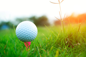 Golf ball on tee in beautiful golf course at sunset background.