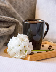 warm home atmosphere, a mug of freshly brewed coffee, grains, a notebook for records, a grey blanket and pillows.