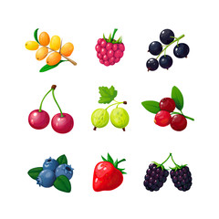 Cartoon berries. Strawberry raspberry cherry blueberry gooseberry blackberry buckthorn. Cartoon berry vector isolated set