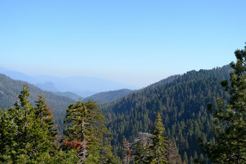 Beautiful landscape in Sequoia National Park, California, USA