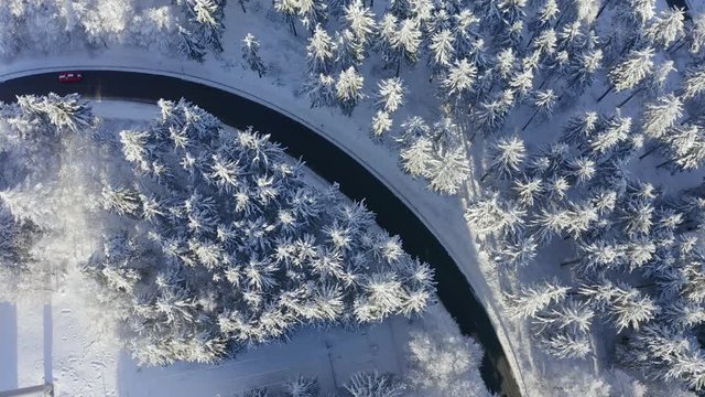 Aerial view, flight over snowy trees from above in winter, Taunus, Hesse, Germany