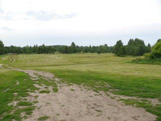 meadow