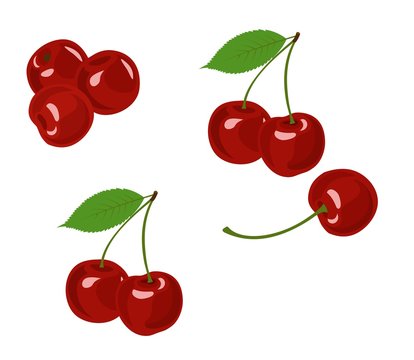 Cherry vector illustration. Cherry collection on white background.