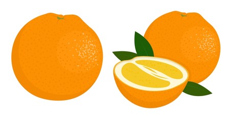 Orange whole and half of orange. Citrus fruit. Vector illustration of oranges on white background.