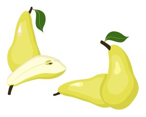 Pears vector illustration. Whole pear and a half conference pear fruit on white background.