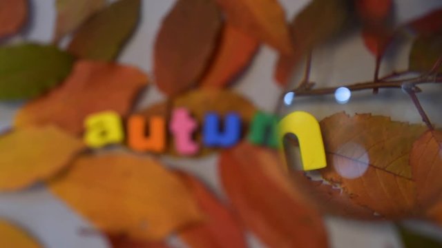 Word autumn of colorful letters through magnifying glass on yellow leaves background.