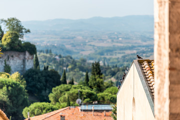 High angle aerial view on Perugia Umbria, Italy with historic old medieval Etruscan buildings and pigeon birds on rooftops of town village orange colors in idyllic summer with rolling hills