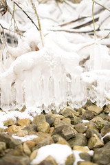 Eiszapfen an Baum mit Steinboden