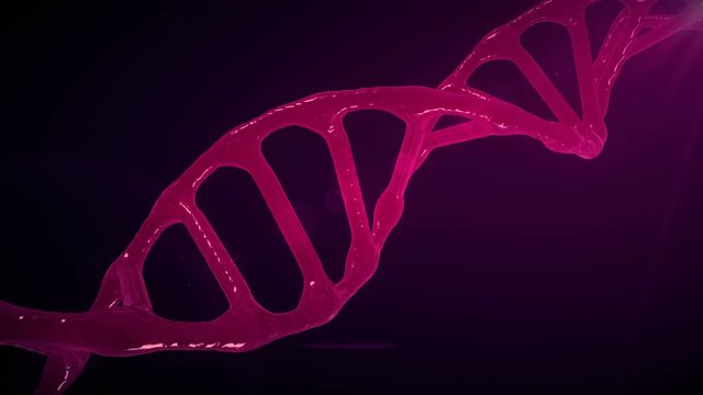 Looping pink DNA rotating intro.Futuristic scene 3D rendered animation of DNA molecule chains infinite rotation.Health care medicine needs.Pink