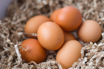 many chicken eggs in cardboard sawdust close-up