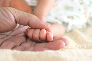 Soft focus of newborn tiny baby hands in parent hands