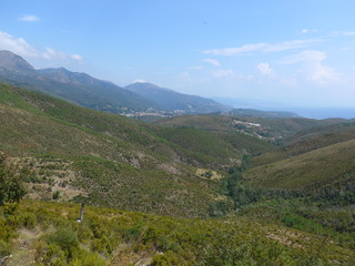 Natura dell'Appennino Ligure (Ramognina, Varazze, Savona)