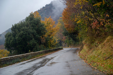 mountain road with fog in winter scene © ciroorabona