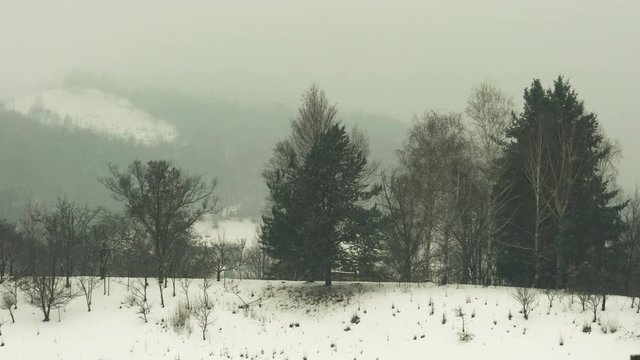 Landscape in snow - (4K)