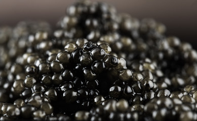 Black caviar background. High quality natural sturgeon caviar closeup. Delicatessen. Beluga caviar backdrop