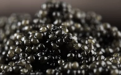 Schilderijen op glas Black caviar background. High quality natural sturgeon caviar closeup. Delicatessen. Beluga caviar backdrop © Subbotina Anna