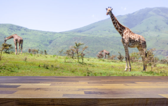 Empty table top for product display montage. Safari lodge concept and giraffes blurred in the background.